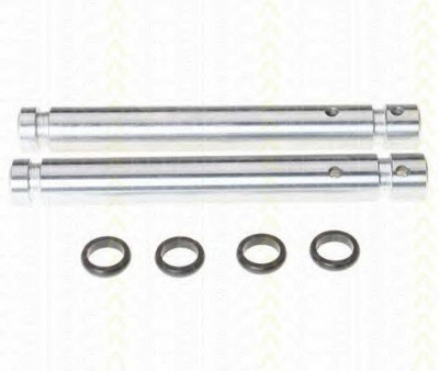 TRISCAN 8170169054 -  
