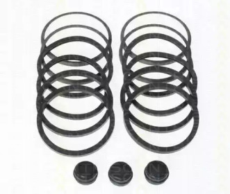 TRISCAN 8170181581 -  