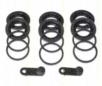 TRISCAN 8170183437 -