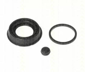 TRISCAN 8170183629 -  