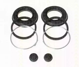 TRISCAN 8170183810 -
