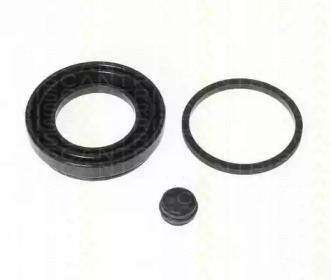 TRISCAN 8170184101 -  