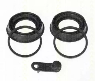 TRISCAN 8170184231 -