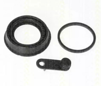 TRISCAN 8170184239 -