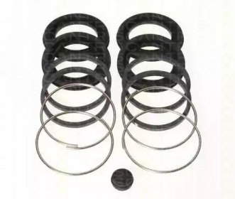 TRISCAN 8170184313 -