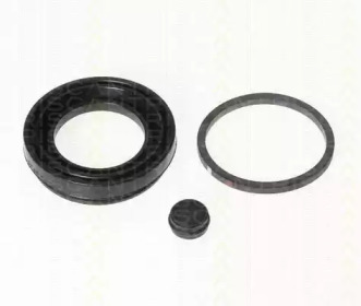 TRISCAN 8170184356 -