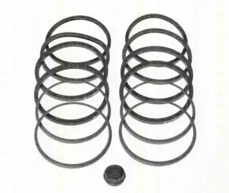 TRISCAN 8170184602 -
