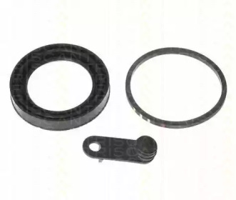 TRISCAN 8170184874 -  