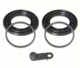 TRISCAN 8170184893 -