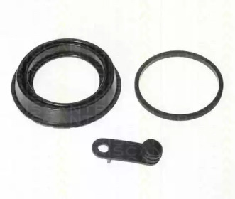 TRISCAN 8170185206 -