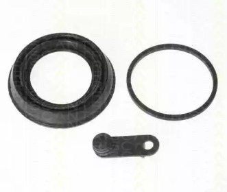 TRISCAN 81701854106 -  