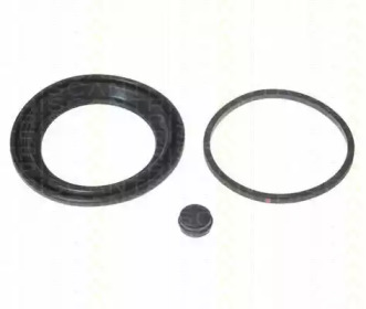 TRISCAN 8170186003 -  