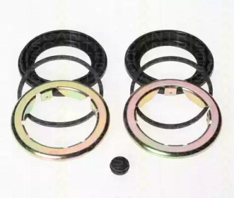 TRISCAN 8170186012 -