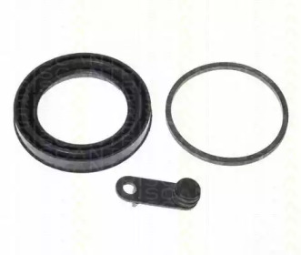 TRISCAN 8170186025 -  