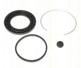TRISCAN 8170186027 -  