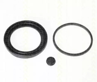 TRISCAN 8170186039 -
