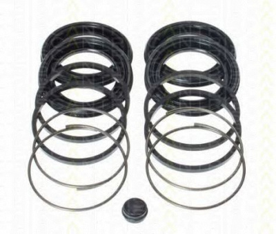 TRISCAN 8170205136 -