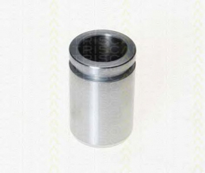 TRISCAN 8170233024 -  Поршень, корпус скобы тормоза