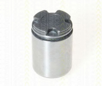 TRISCAN 8170233431 -