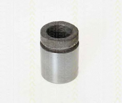 TRISCAN 8170233629 -