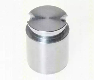 TRISCAN 8170233631 -  Поршень, корпус скобы тормоза