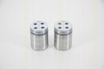 TRISCAN 8170233632 -  Поршень, корпус скобы тормоза