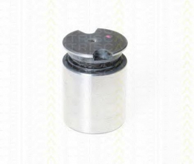 TRISCAN 8170233634 -  Поршень, корпус скобы тормоза