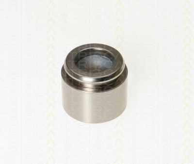 TRISCAN 8170233641 -