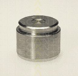 TRISCAN 8170233811 -