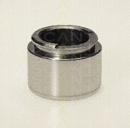 TRISCAN 8170233813 -  