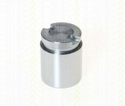 TRISCAN 8170233838 -
