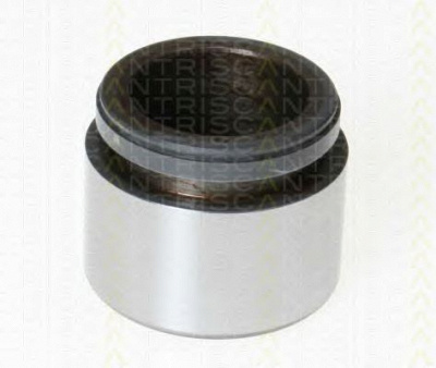 TRISCAN 8170233852 -