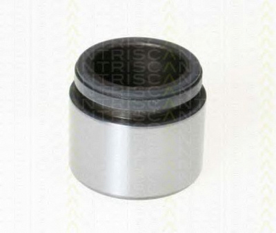 TRISCAN 8170233853 -  Поршень, корпус скобы тормоза