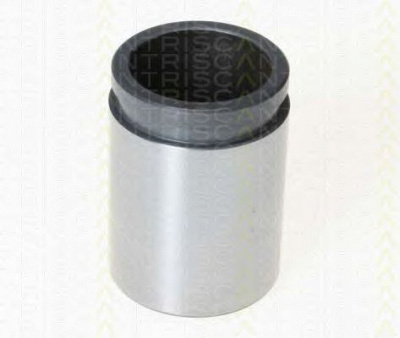 TRISCAN 8170233854 -  Поршень, корпус скобы тормоза