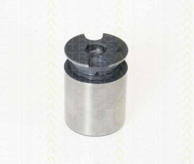 TRISCAN 8170233863 -