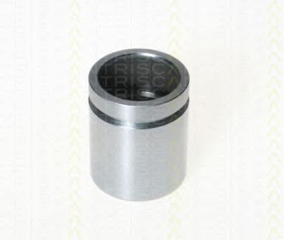 TRISCAN 8170233865 -