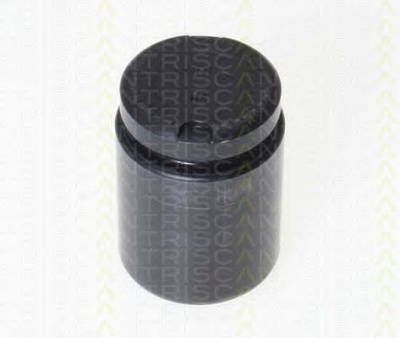 TRISCAN 8170233870 -