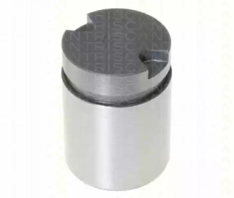 TRISCAN 8170233872 -