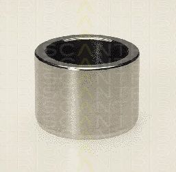 TRISCAN 8170234005 -