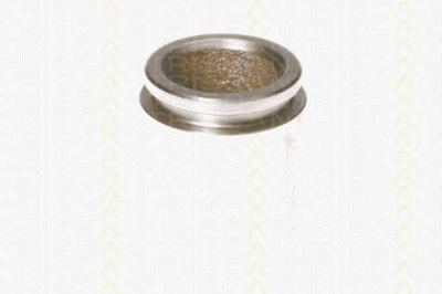 TRISCAN 8170234037 -  Поршень, корпус скобы тормоза