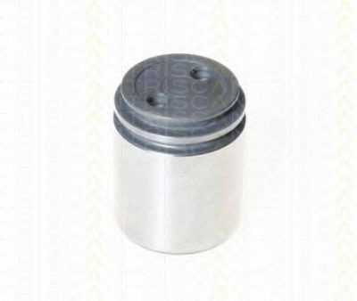 TRISCAN 8170234040 -  Поршень, корпус скобы тормоза