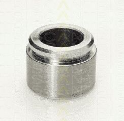 TRISCAN 8170234216 -  