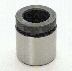TRISCAN 8170234219 -  Поршень, корпус скобы тормоза