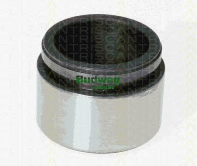 TRISCAN 8170234226 -  Поршень, корпус скобы тормоза