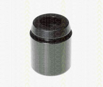 TRISCAN 8170234231 -