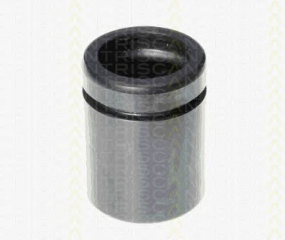 TRISCAN 8170234233 -