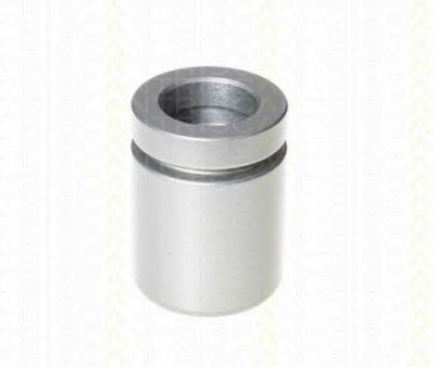 TRISCAN 8170234234 -  Поршень, корпус скобы тормоза