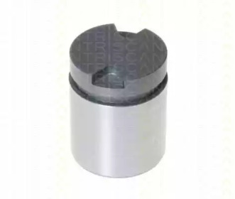 TRISCAN 8170234238 -