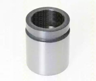 TRISCAN 8170234241 -