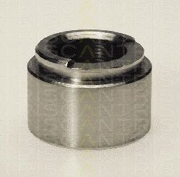 TRISCAN 8170234404 -